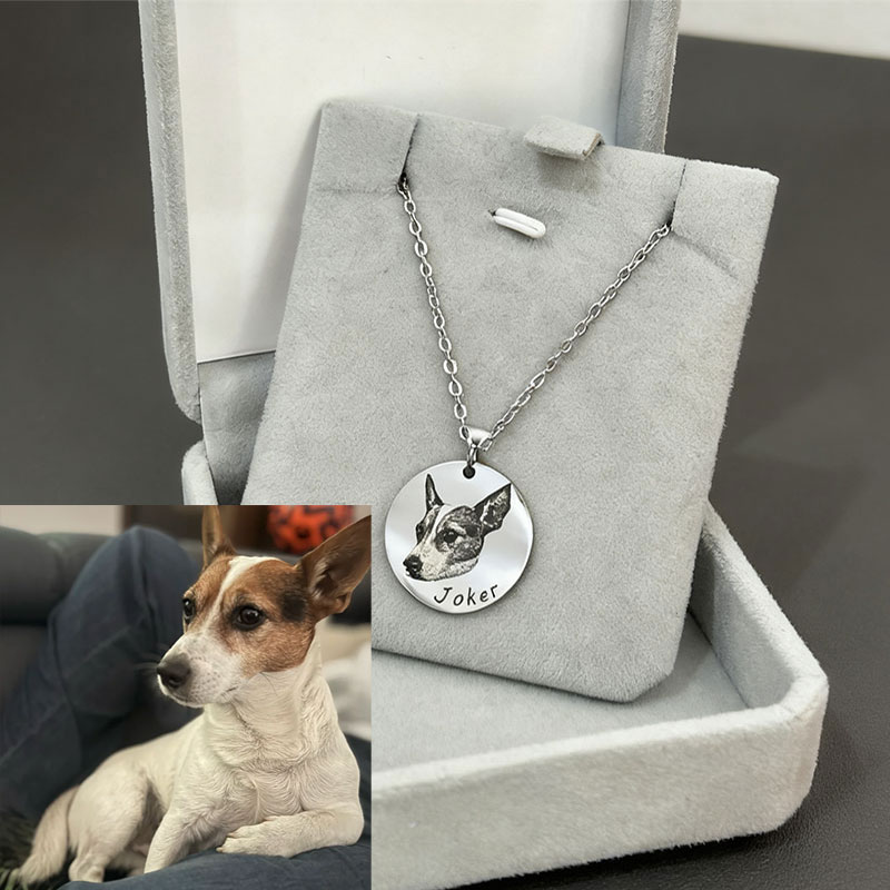  Benutzerdefinierte Haustier  – Pet Portrait Custom Bewertung und Preis